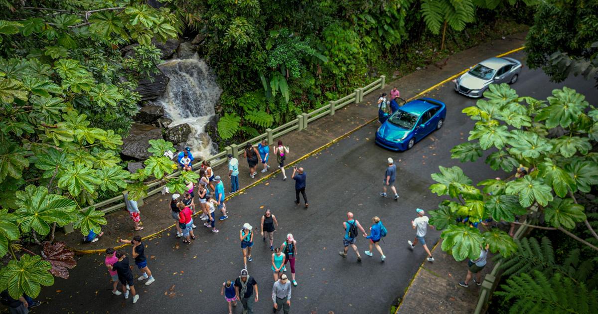Reportan cuatro personas atrapadas por las corrientes de agua en El Yunque