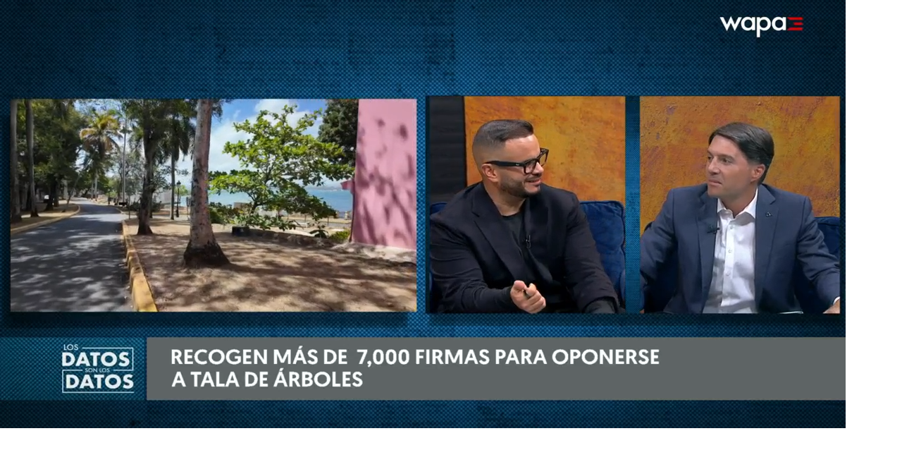 Vecinos del Viejo San Juan denuncian tala de árboles para construir rotonda