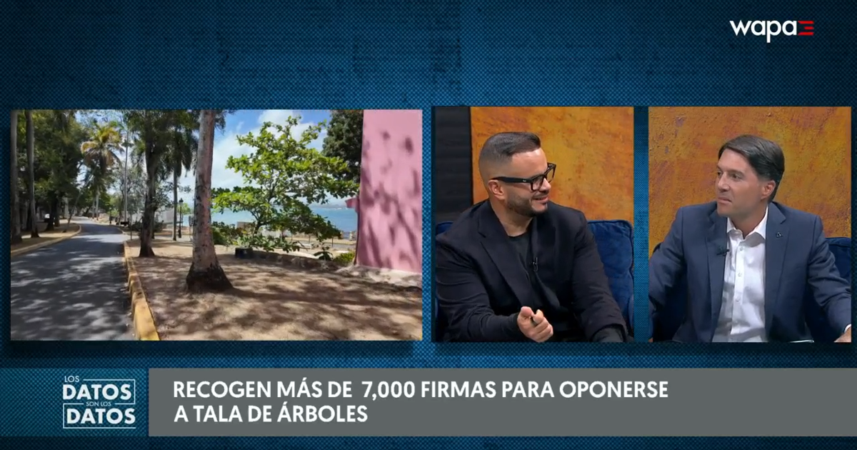Vecinos del Viejo San Juan denuncian tala de árboles para construir rotonda
