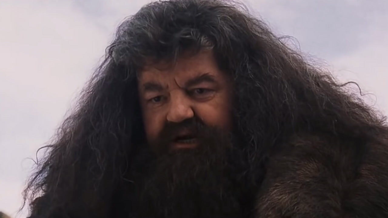 Fallece Robbie Coltrane, El Actor Que Dio Vida A "Hagrid ...