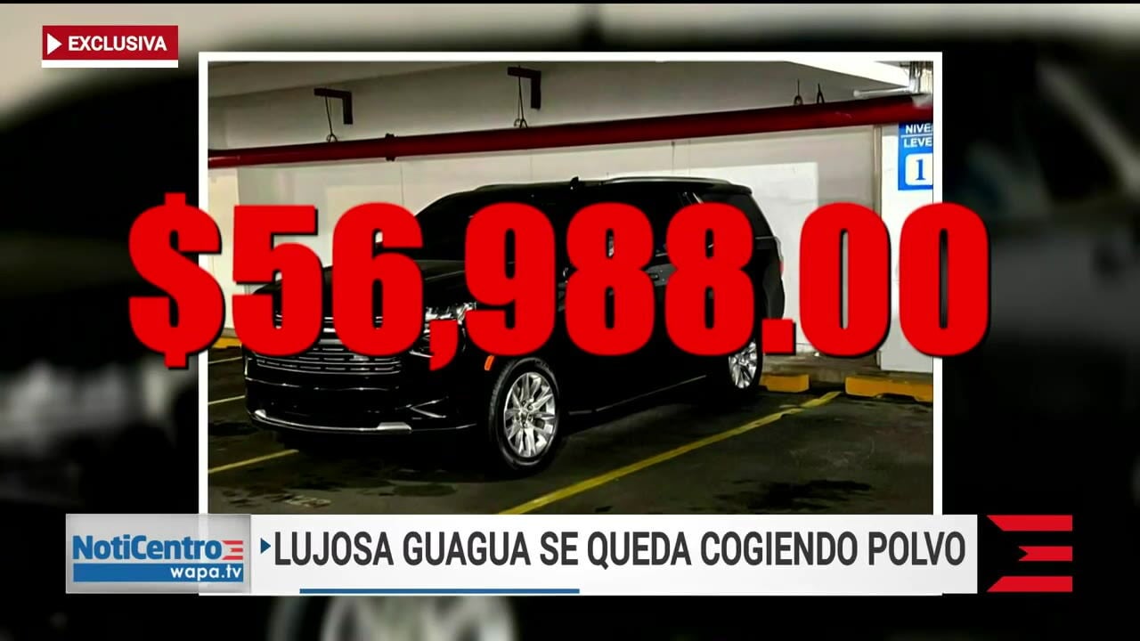 Compran guagua de sobre $55 mil para jueza presidenta del Supremo pero no  le dan uso | wapa.tv