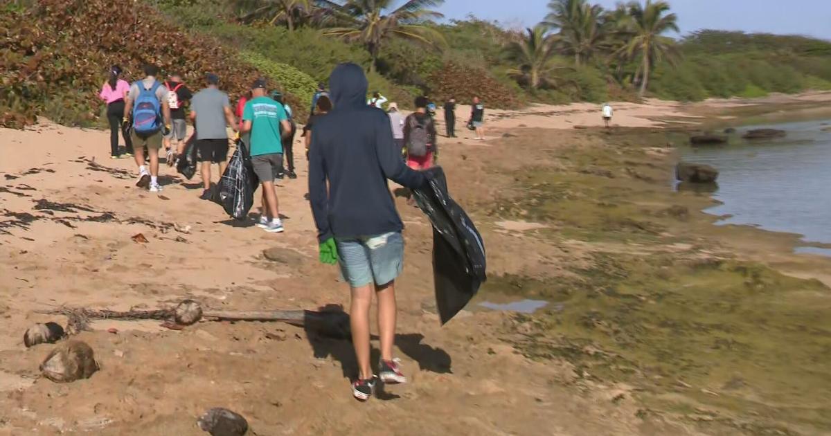 Voluntarios limpian costas de Manatí en el Día Internacional de Limpieza de Costas