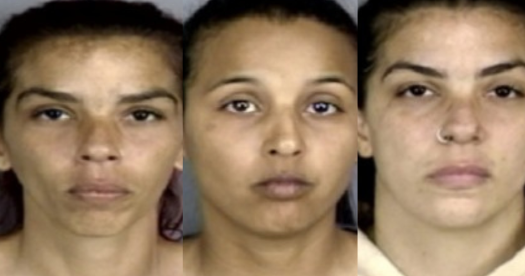 Arrestan a tres mujeres por causarle daños a un vehículo que atropelló a un perro