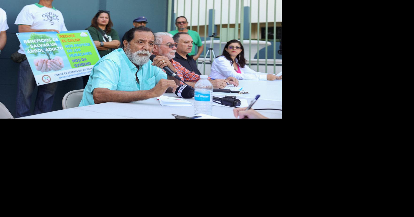 Denuncian tala de árboles por parte de LUMA sería un "crimen ambiental ...