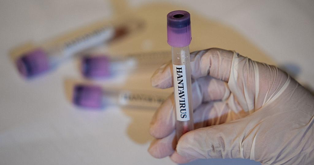 Jefe de la OMS llega a Tenerife antes de la evacuación del brote de hantavirus