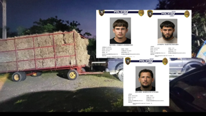Imagen del artículo de WAPA: Encarcelan a trío que alegadamente robó heno de finca en Barceloneta