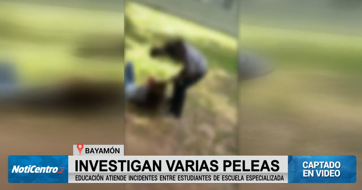 Reportan varios incidentes violentos entre estudiantes en escuela especializada de Bayamón