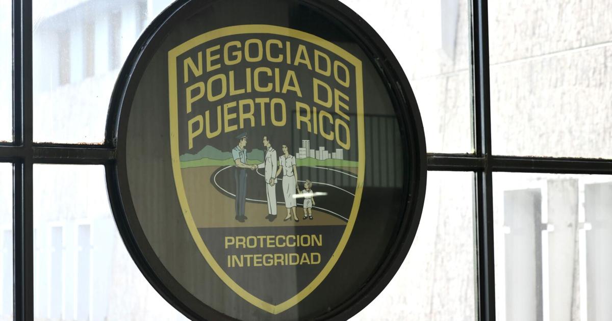 Mujer de Juana Díaz pierde casi $3,000 en estafa de compra de perro por internet