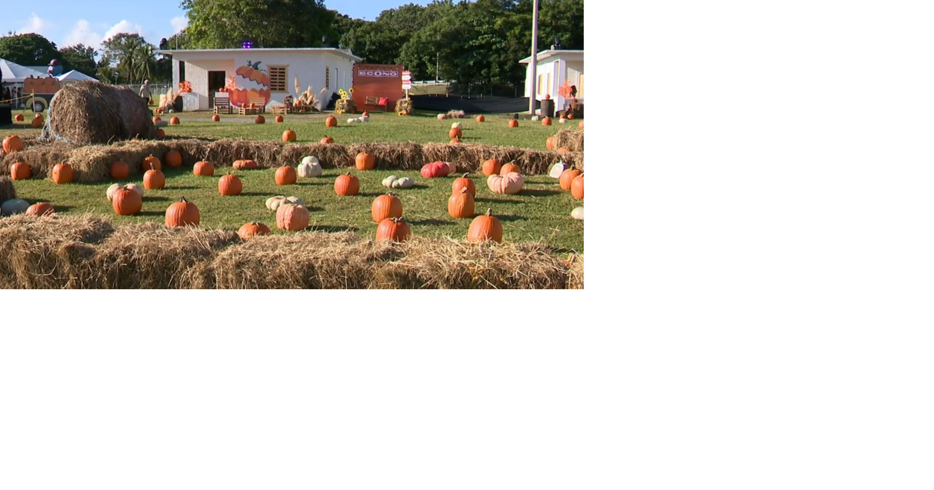 Familias celebran el último día del Pumpkin Patch y Agroferia en Canóvanas