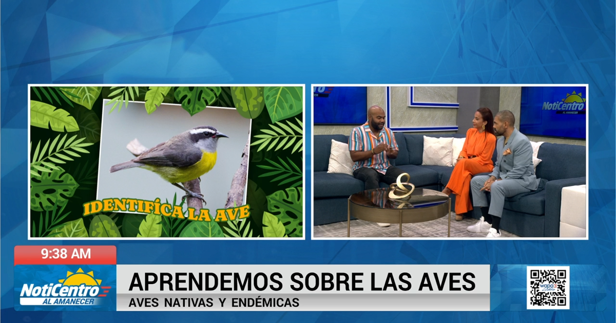 Aprendemos sobre las aves nativas y endémicas de Puerto Rico
