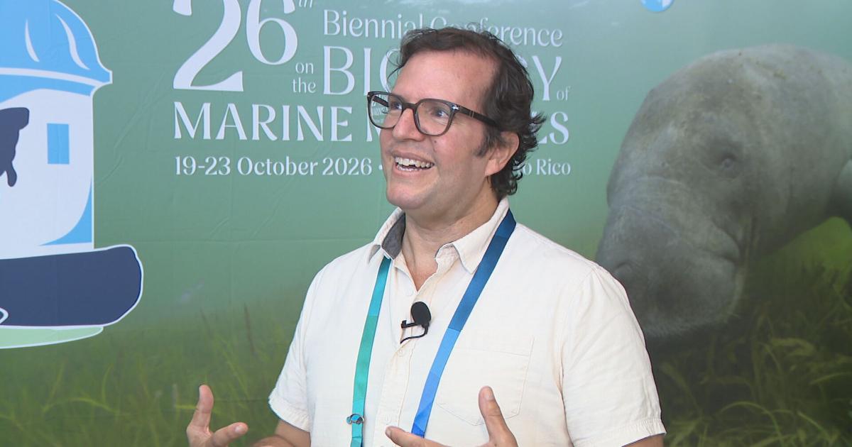 Paleontólogo boricua reconstruye origen y evolución de los manatíes mediante fósiles
