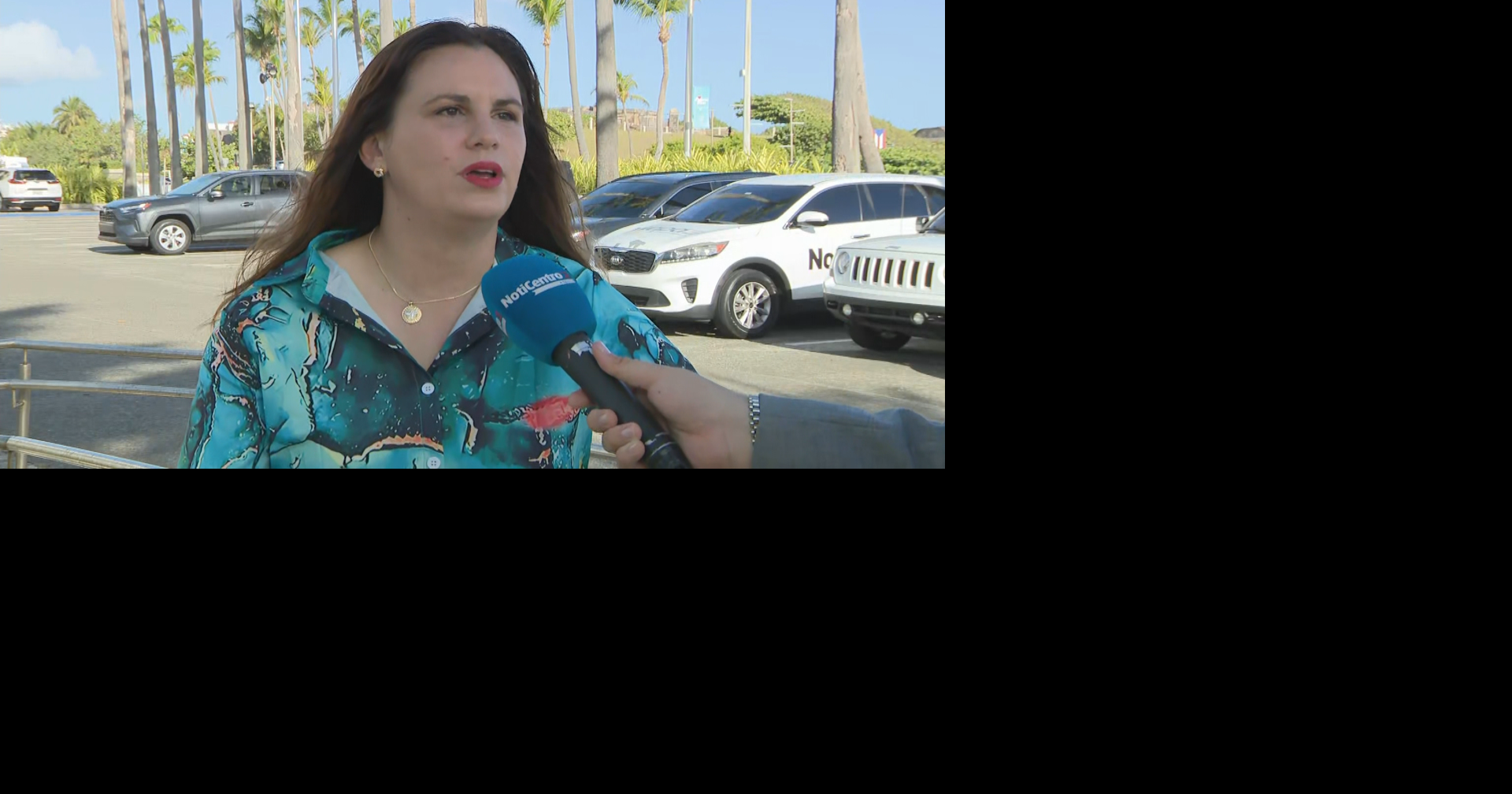 PPD: "guerra de lealtades" en el PNP provocó nuevo escándalo de Domenech
