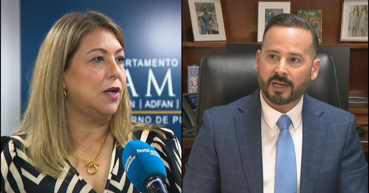 "Apesta a corrupción": PPD refiere a Suzanne Roig a Justicia y a Ética