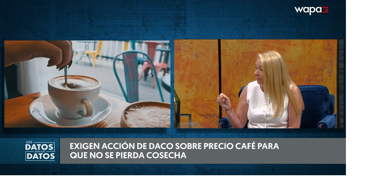 Industria del café en Puerto Rico advierte que no sobrevivirá otro año sin ajuste de precio