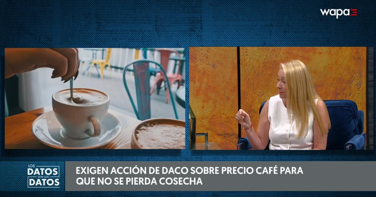 Industria del café en Puerto Rico advierte que no sobrevivirá otro año sin ajuste de precio