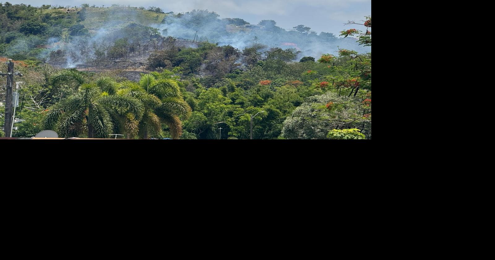 Reportan incendio forestal cerca de hogar de envejecientes en Gurabo