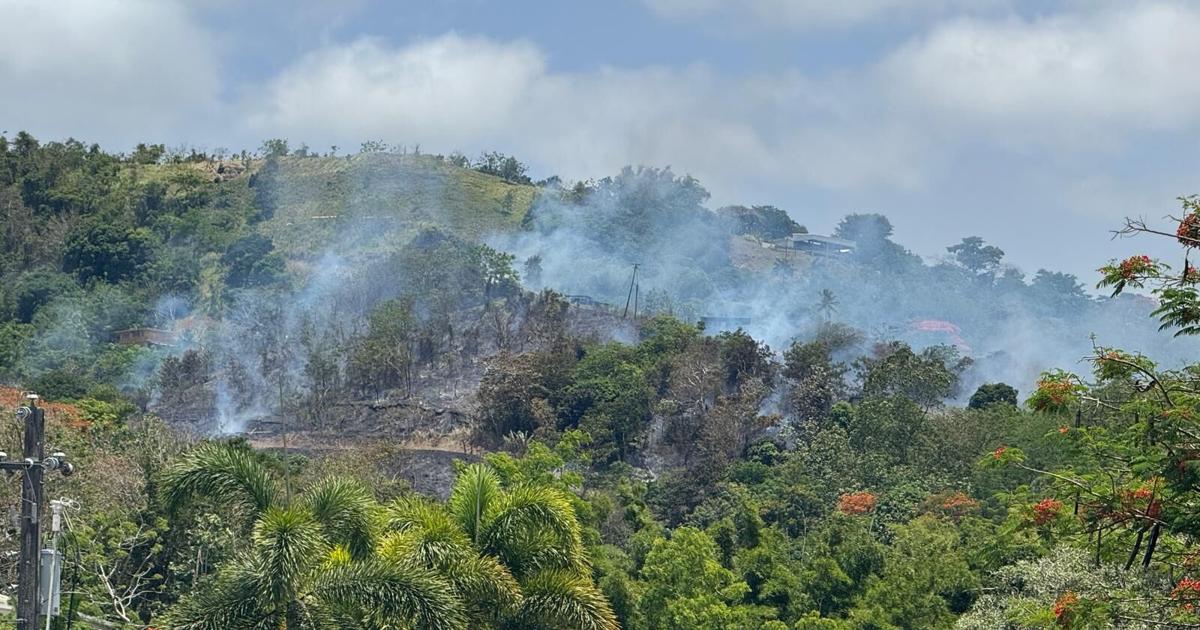 Reportan incendio forestal cerca de hogar de envejecientes en Gurabo