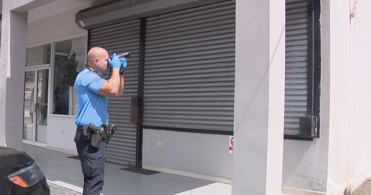 Arrestan a hombre y mujer tras presuntamente intentar robar tienda en Camuy