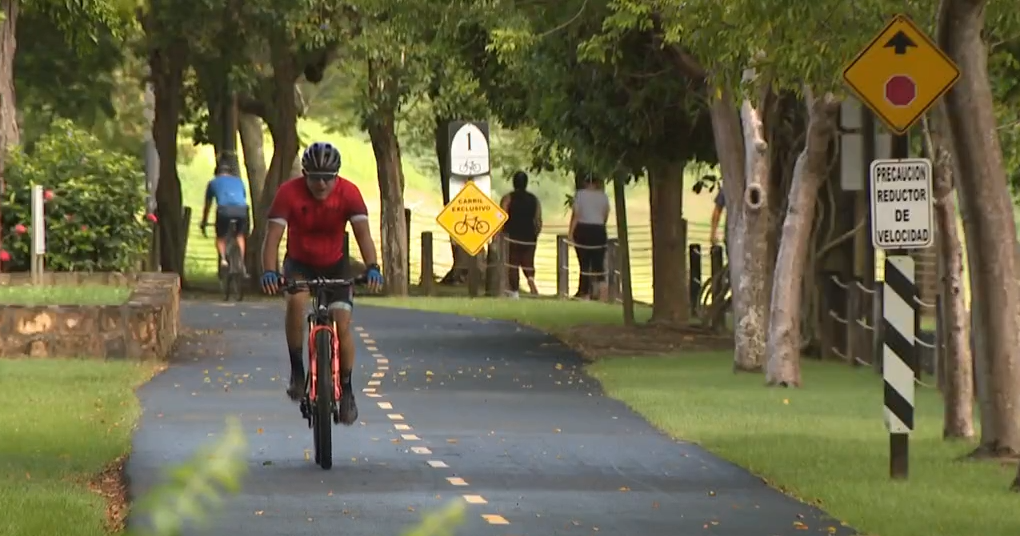 Proponen suspender licencia por 10 años a conductores que maten o hieran gravemente a ciclistas