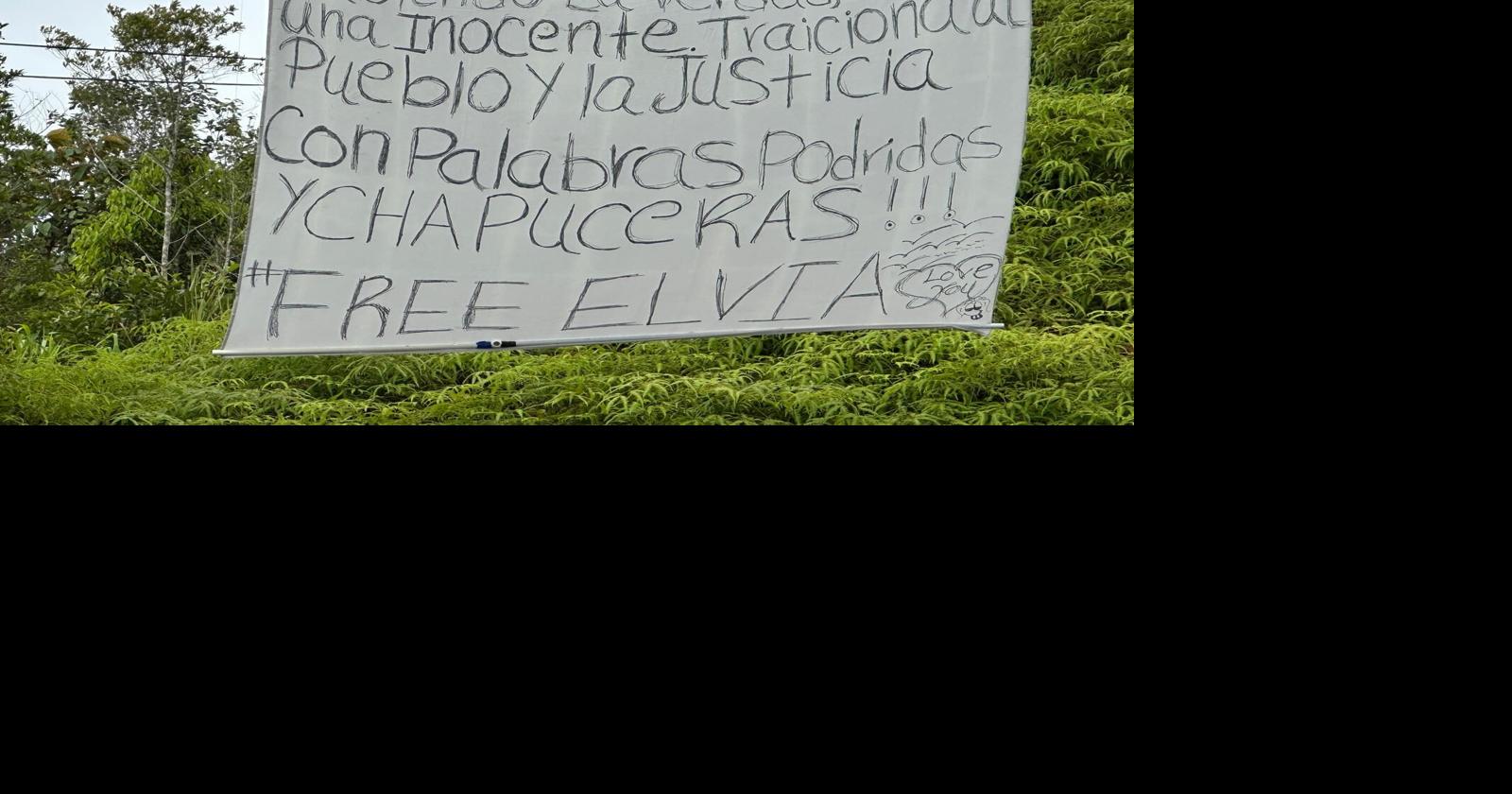 Nuevo mensaje antes de juicio de Elvia denuncia integridad de oficial investigador