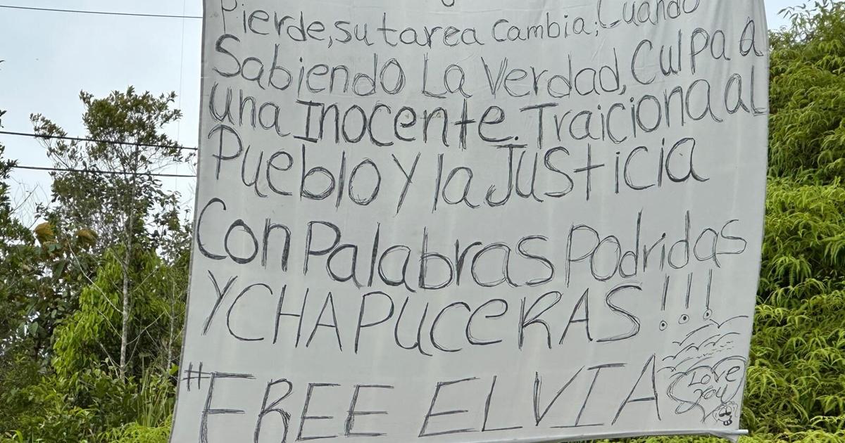 Nuevo mensaje antes de juicio de Elvia denuncia integridad de oficial investigador