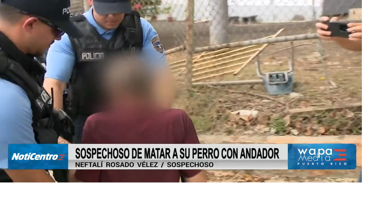 Vecinos aseguran que hombre que habría matado a su perro maltrataba a la mascota