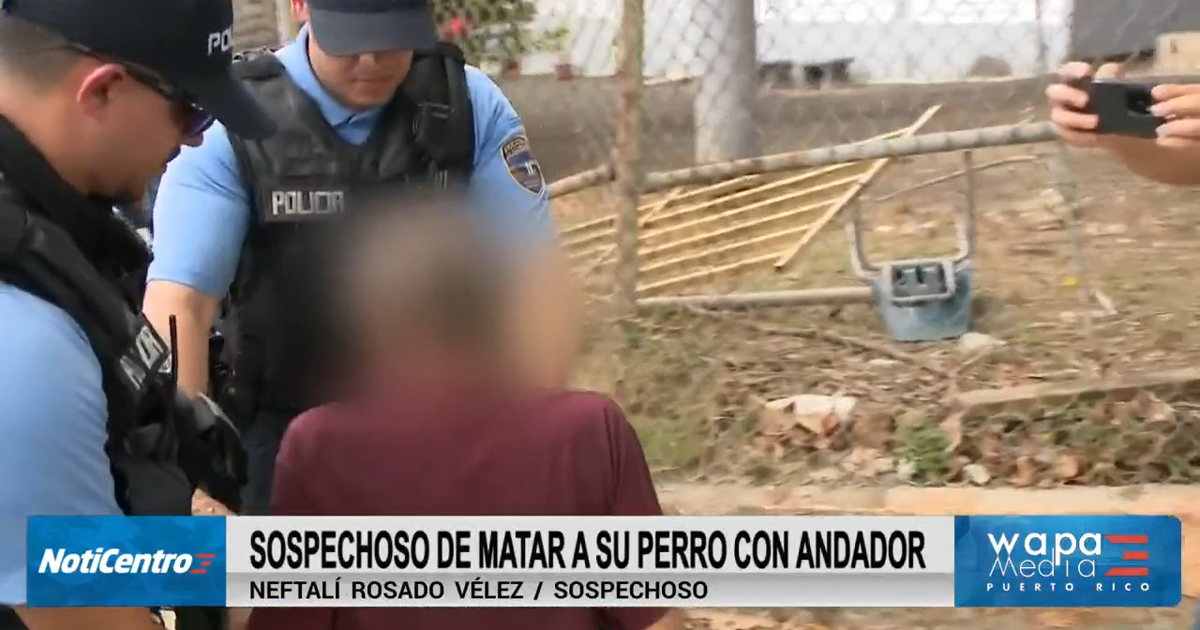 Vecinos aseguran que hombre que habría matado a su perro maltrataba a la mascota