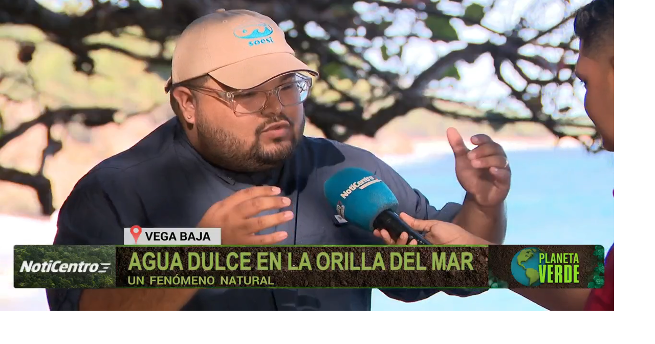 Agua dulce en la orilla del mar