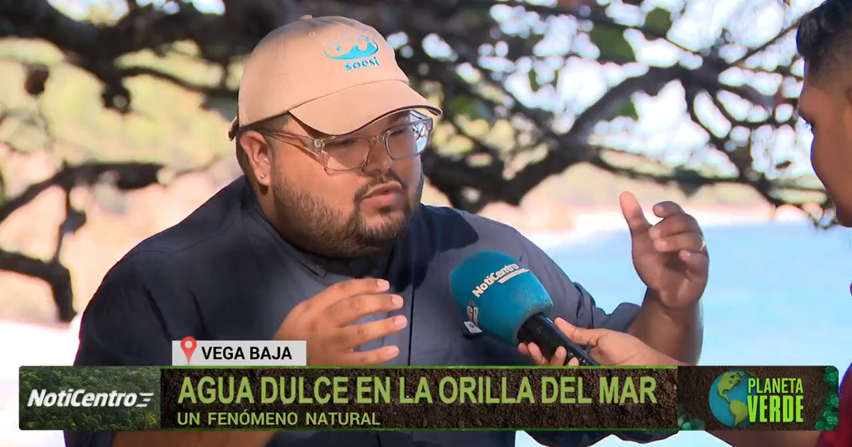 Agua dulce en la orilla del mar