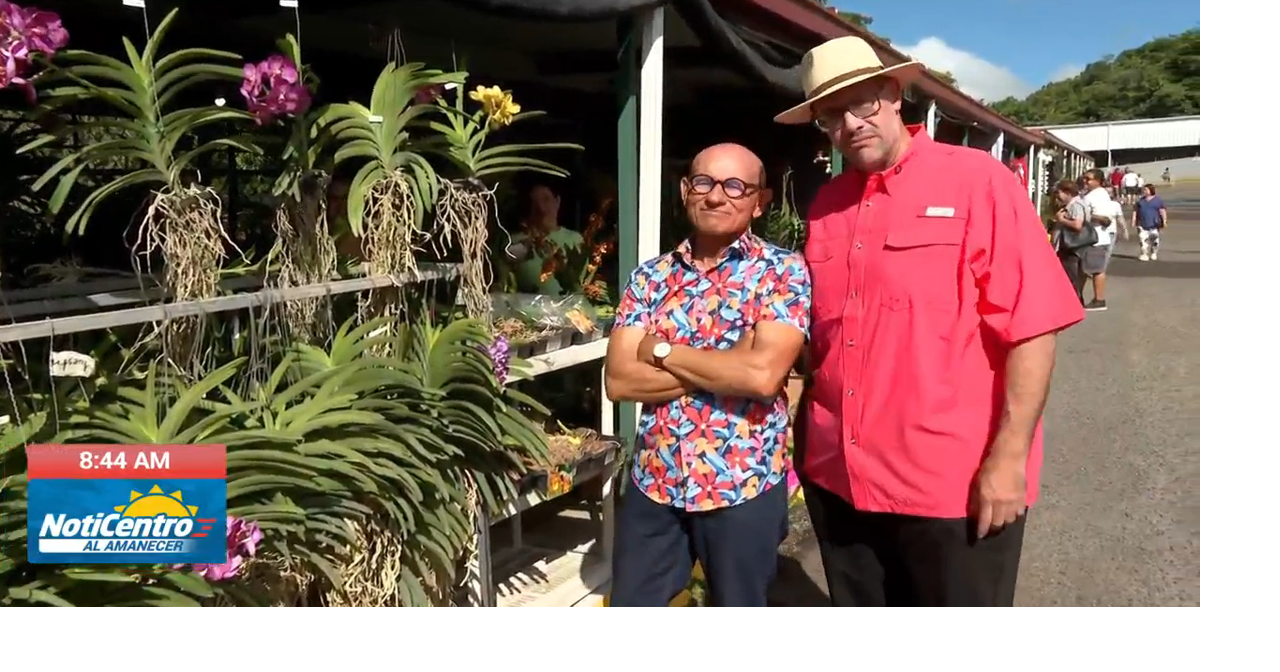 Festival de las Flores en Aibonito celebra este fin de semana con más de 40 años de tradición