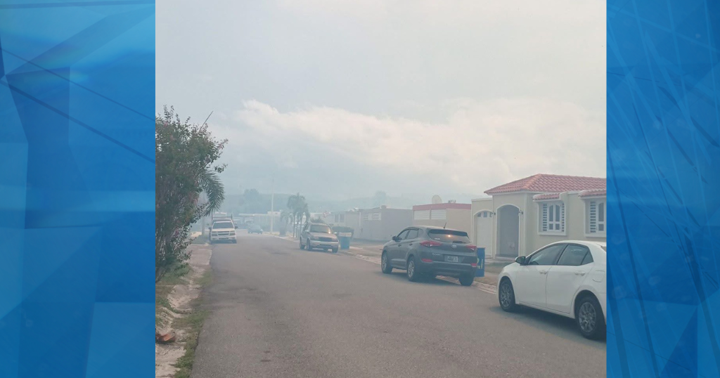 Bomberos combaten incendio forestal en el sector La Fe de Juana Díaz