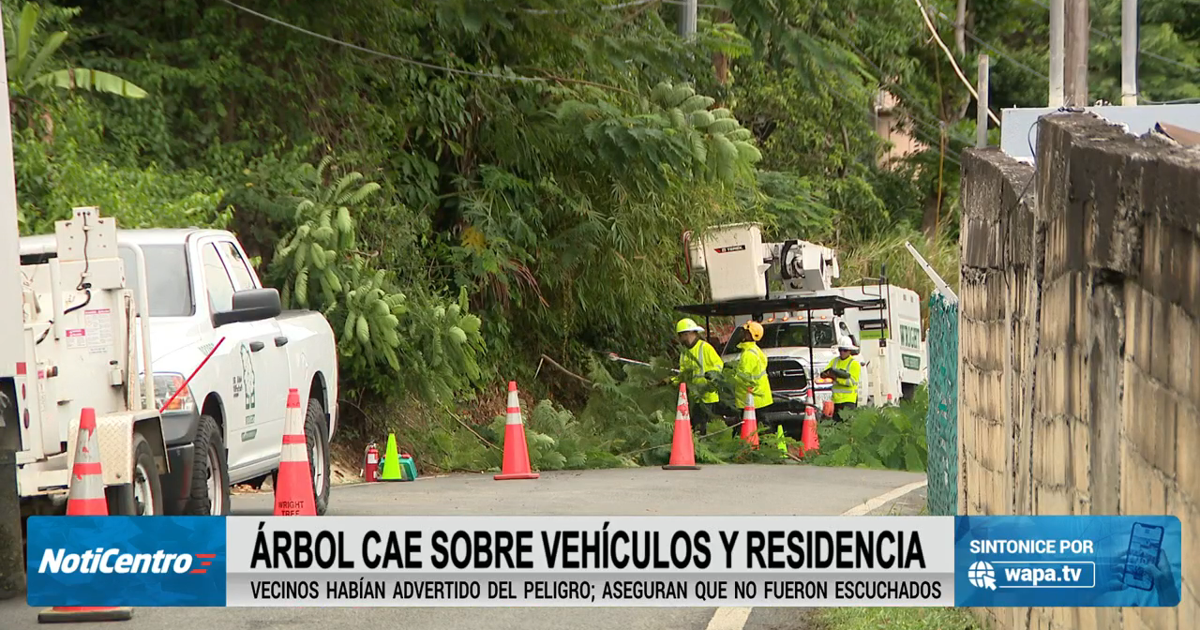 Imagen de la cobertura de: Árbol caído en Caguas deja a cientos de ciudadanos sin luz