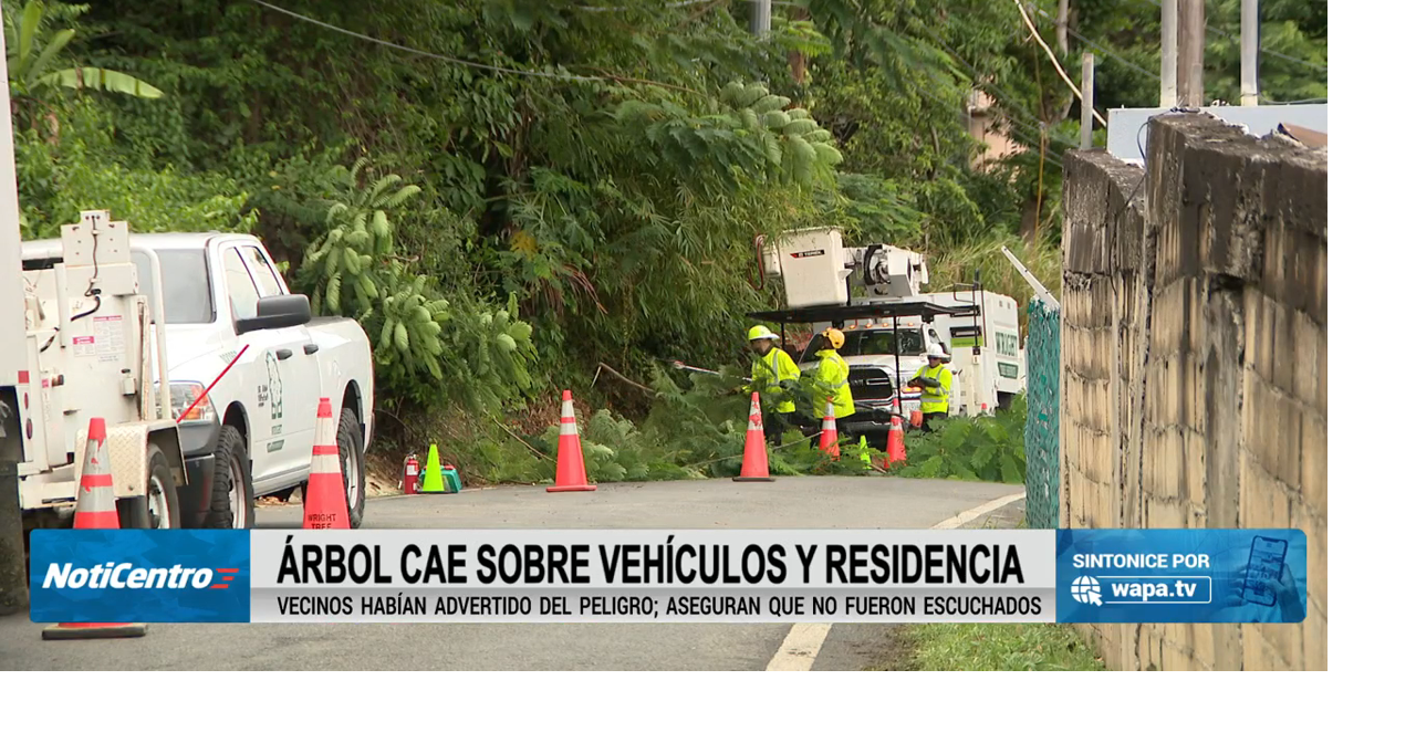 Imagen de la cobertura de: Árbol caído en Caguas deja a cientos de ciudadanos sin luz