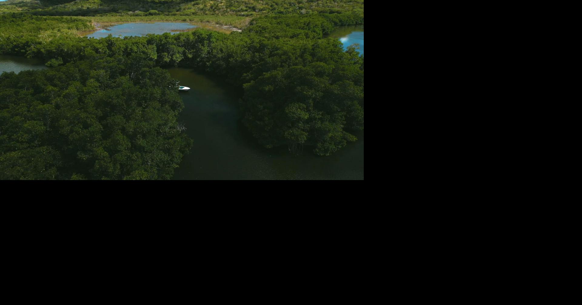 AAA, AEE y Turismo rechazan proyecto Esencia en Cabo Rojo por falta de agua e infraestructura