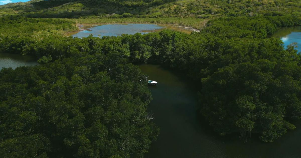 AAA, AEE y Turismo rechazan proyecto Esencia en Cabo Rojo por falta de agua e infraestructura