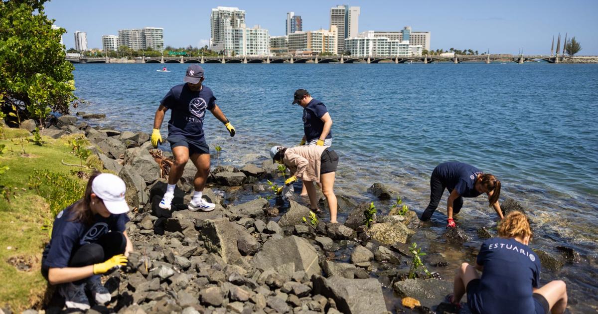 L’Oréal Caribe se une a iniciativa del estuario de la Bahía de San Juan en el Día del Planeta Tierra