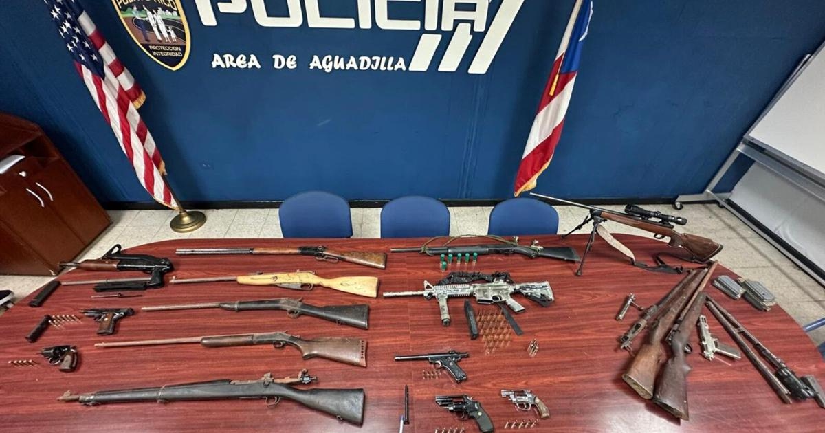 Arrestan hombre en Aguadilla con 18 armas y más de 14,000 municiones en su residencia