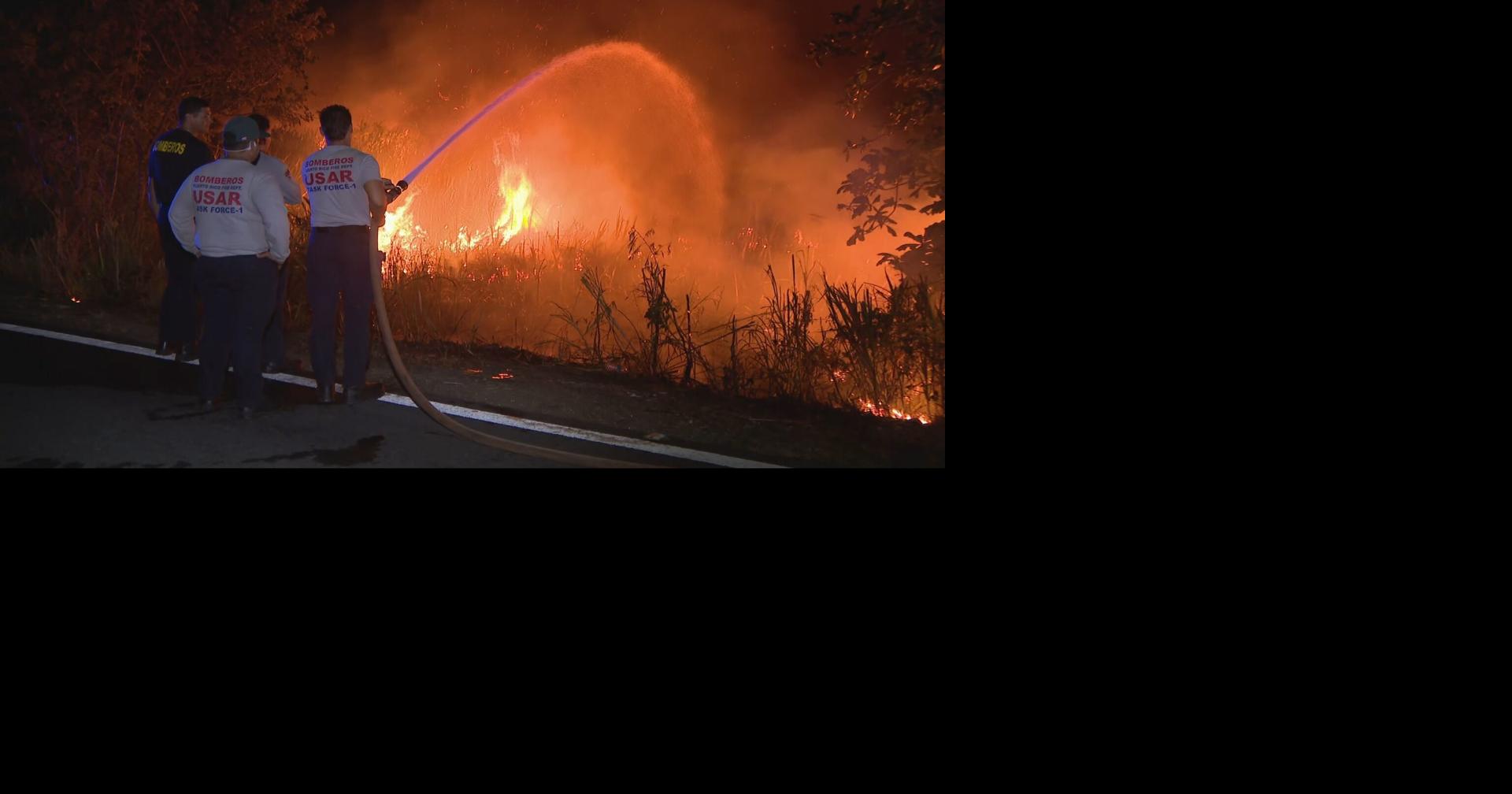Combaten incendio forestal activo en barrio Tortuguero de Vega Baja