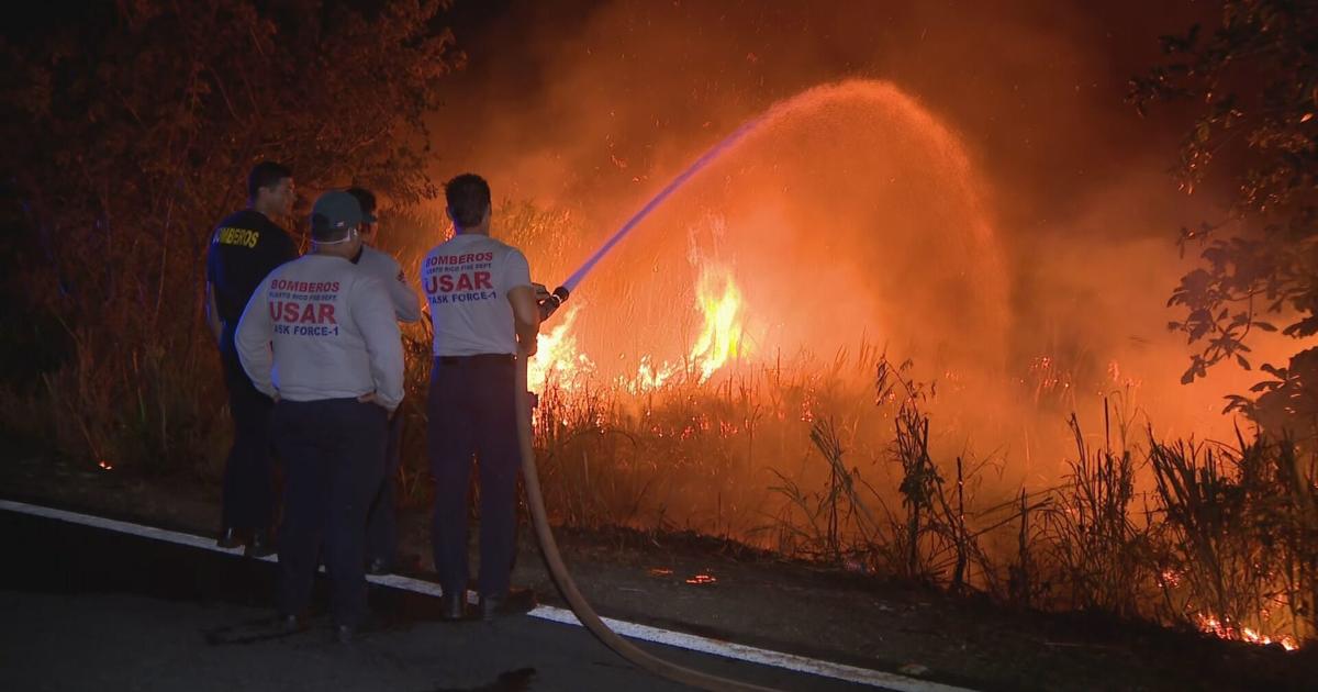 Combaten incendio forestal activo en barrio Tortuguero de Vega Baja
