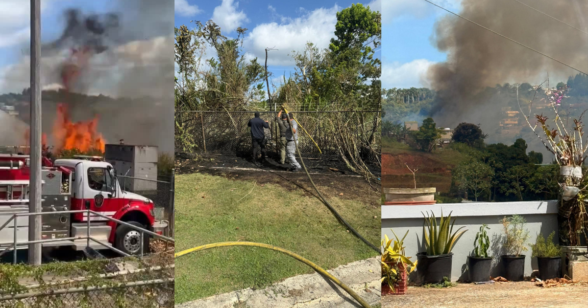 Bomberos extinguen incendio forestal que amenazaba escuela y residencias en Naranjito