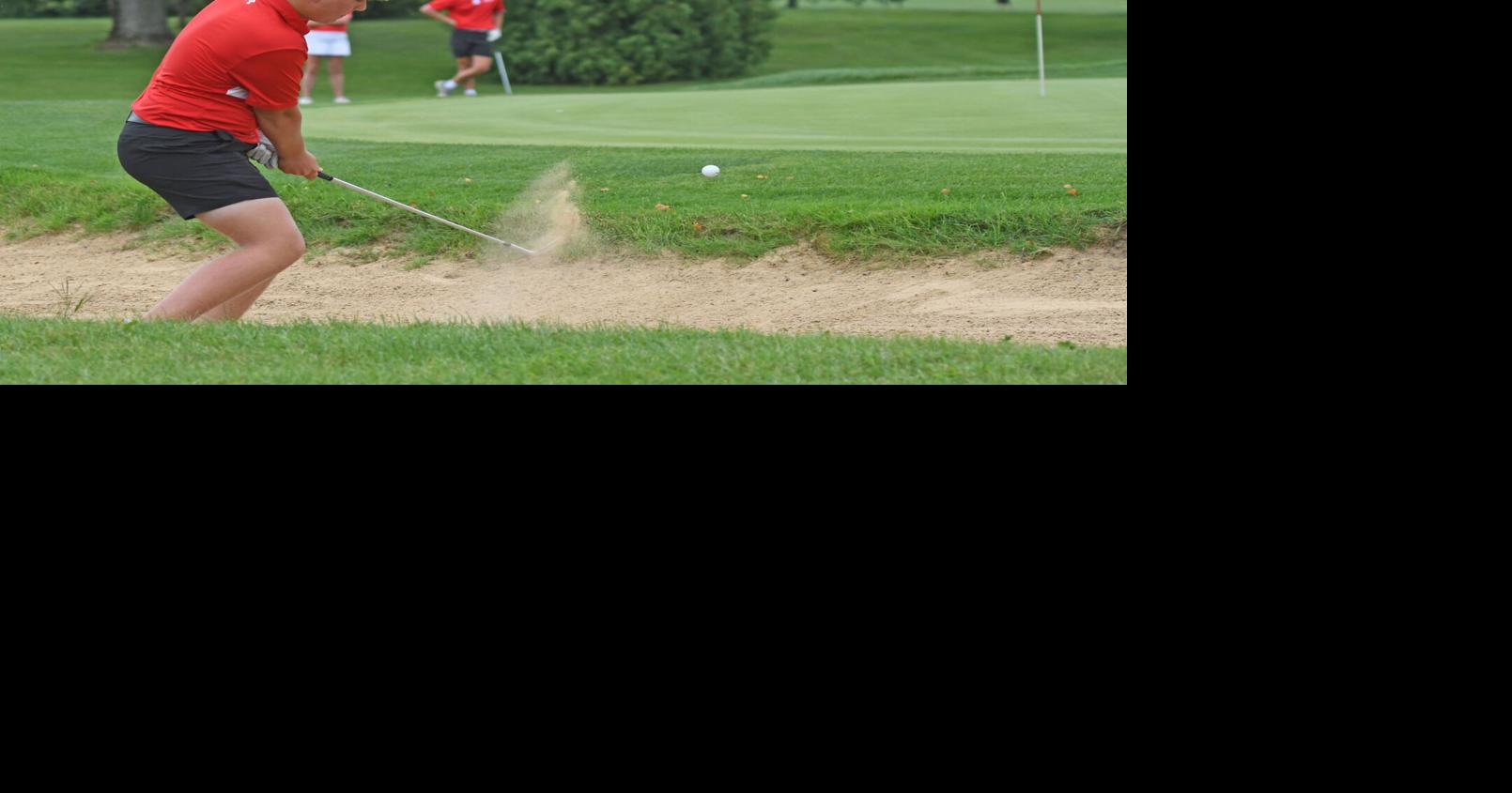 Wapak Boys Golf Whips Bath In WBL Finale