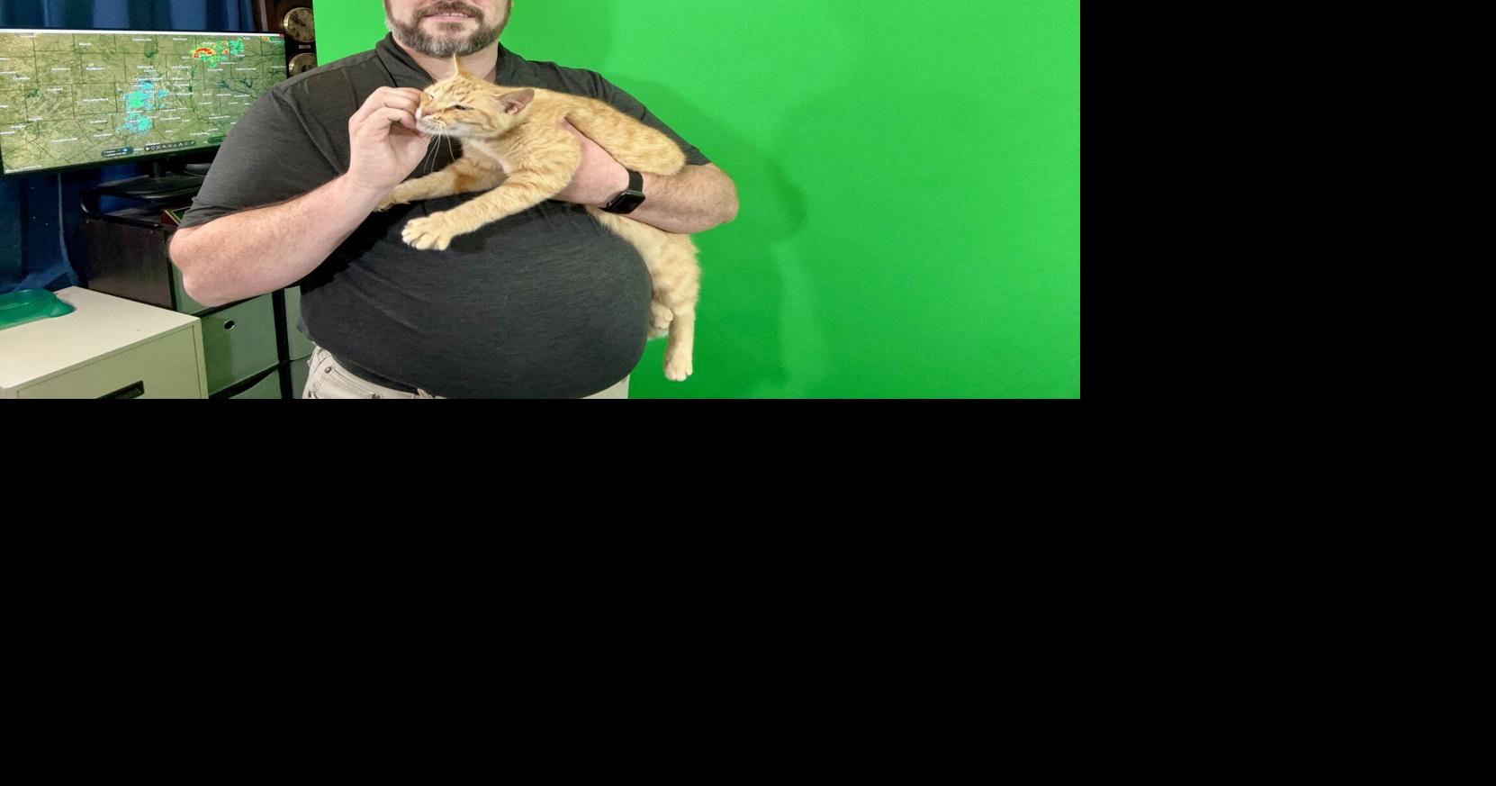 ‘Weather Cat’ has fans of his own | Arts & Entertainment ...