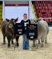 4-H member competes in Arizona show, earning several honors