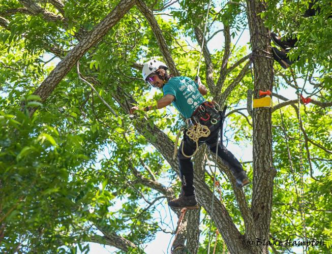 Annual Texas Tree Climbing Championship heads to Waxahachie this ...