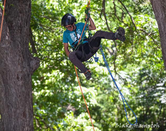 Annual Texas Tree Climbing Championship heads to Waxahachie this ...