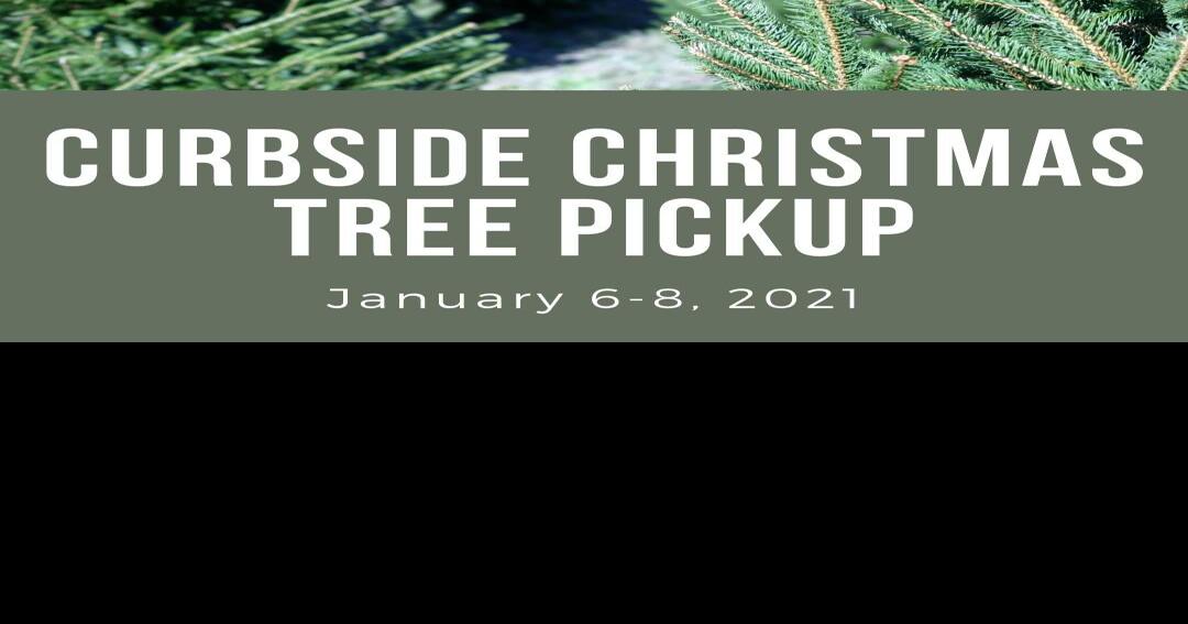 Christmas tree pickup Local News