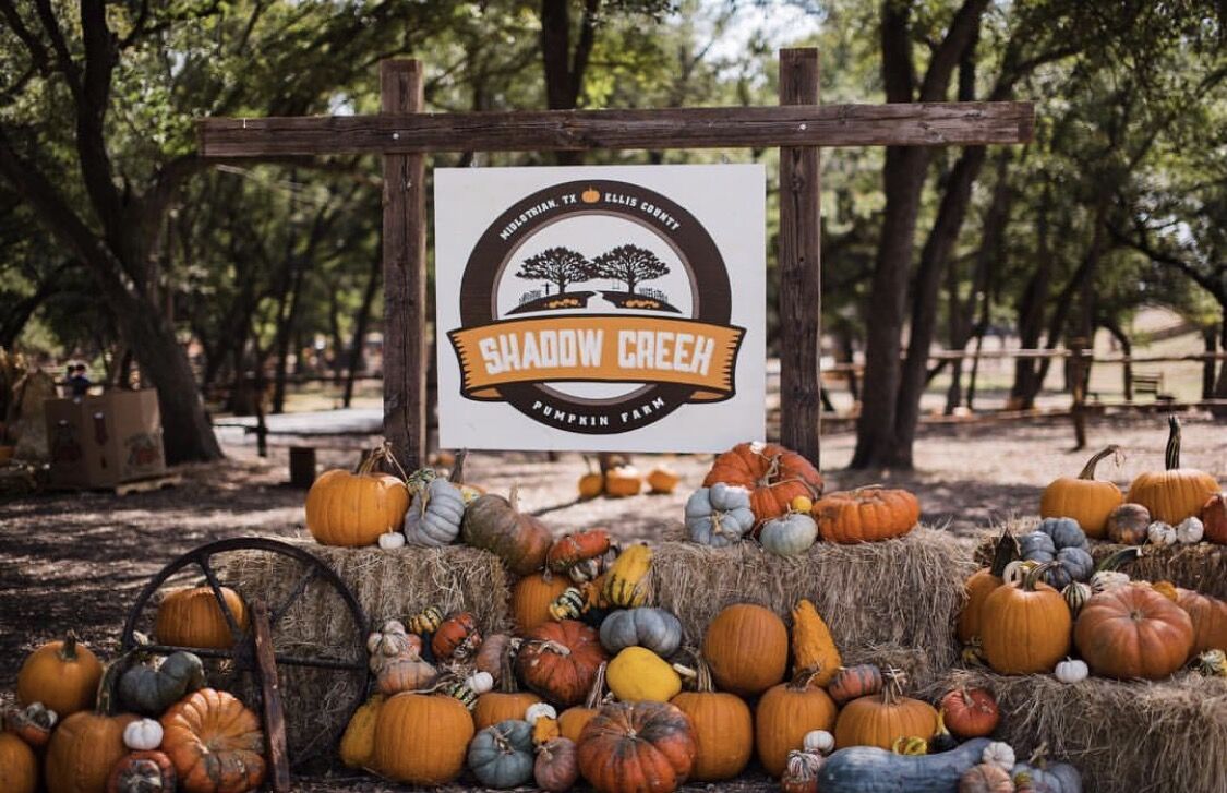 pumpkin patch waxahachie