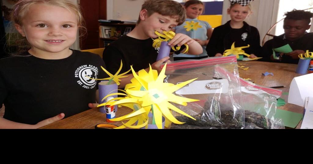 Sunflowers in support of Ukraine Education