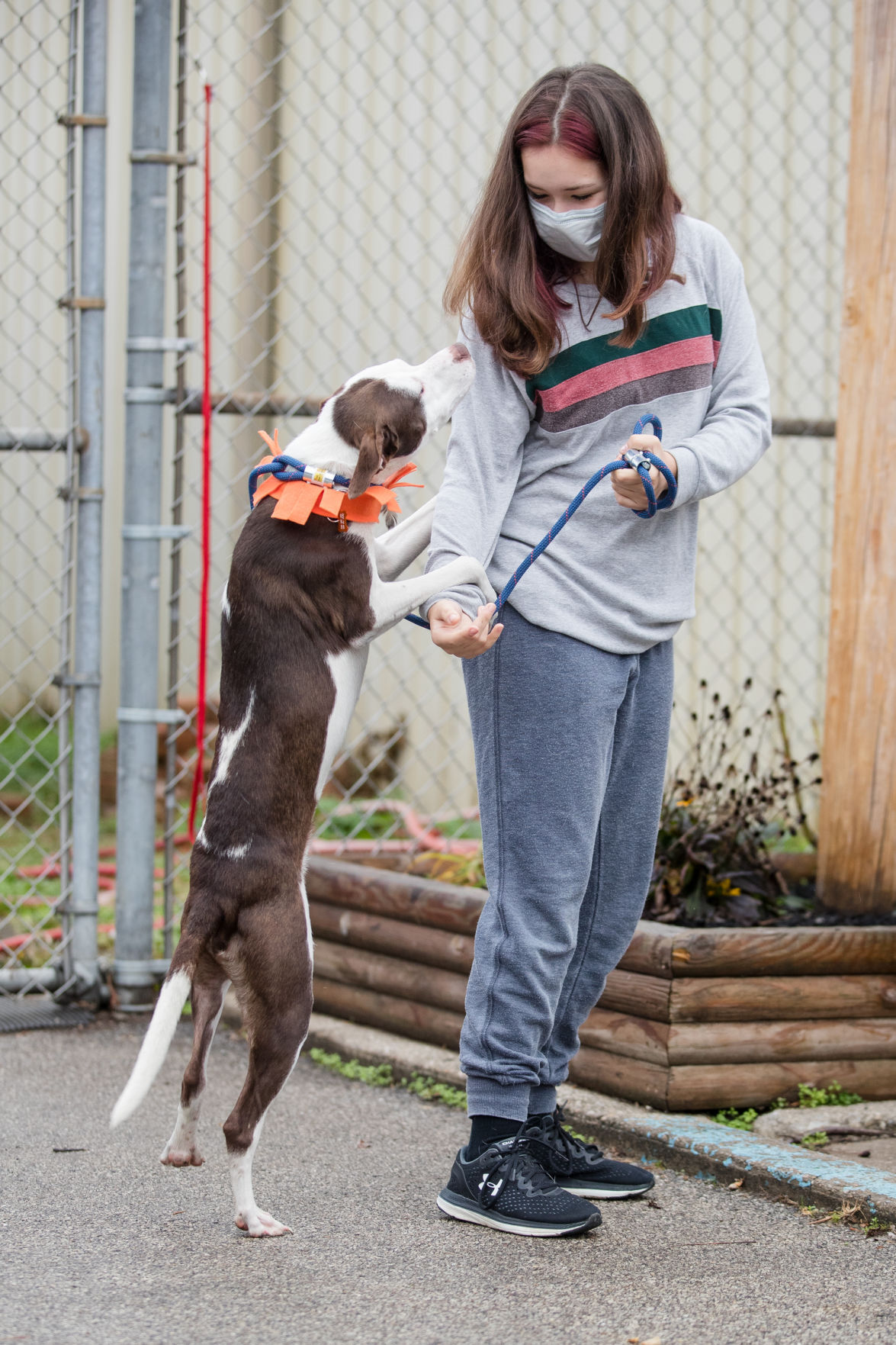 20201127 shelter 14.jpg