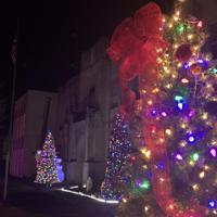 Holiday season kicks off in Fort Gay with 4th annual tree lighting